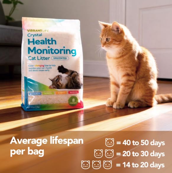 Unscented Color-Changing Cat Litter 8 Lb 2 Pack N946