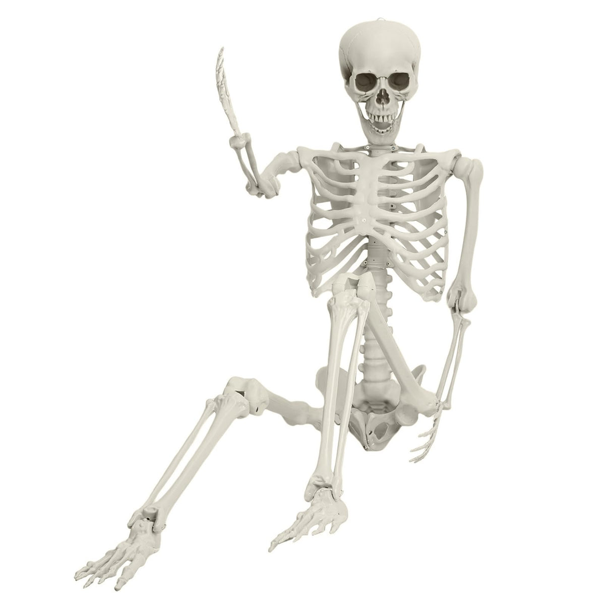 5.4ft Posable Plastic Skeleton G25665