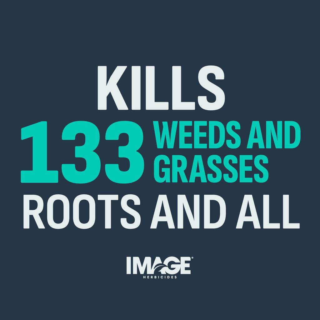 10 Lb Weed & Grass Killer Granules P641