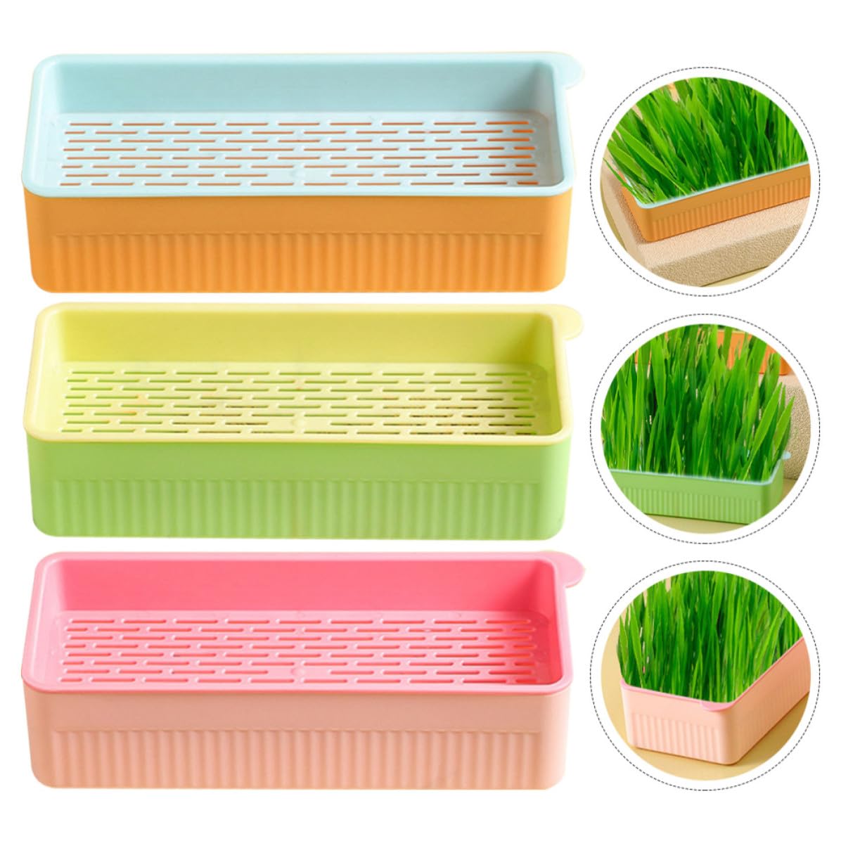 Cat Grass Planter Box Plastic 3 Pack D58670