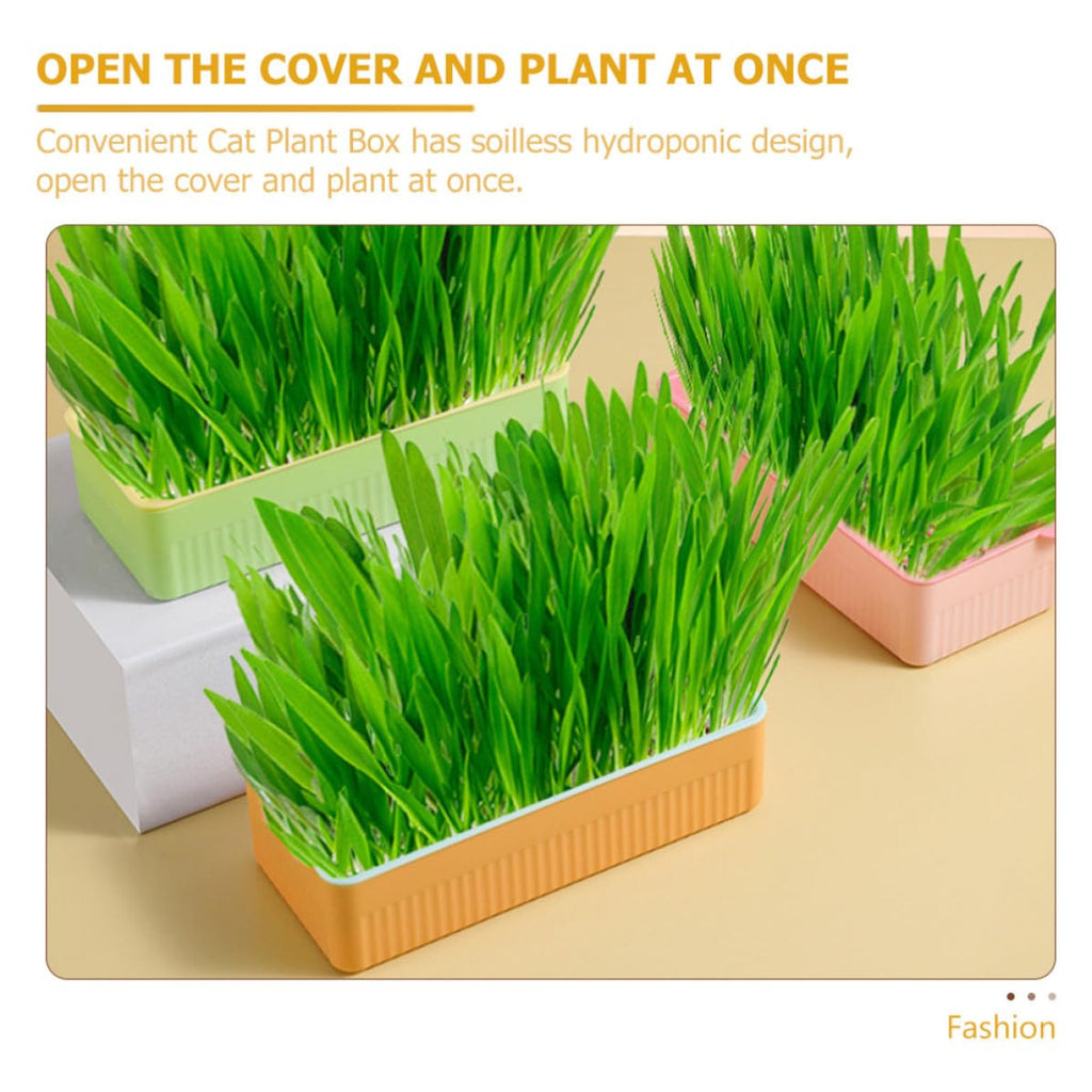 Cat Grass Planter Box Plastic 3 Pack D58670