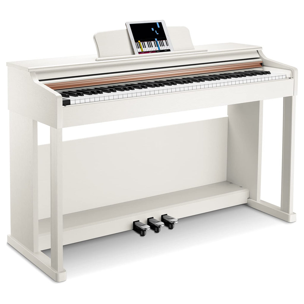 88-Key Weighted Action Digital Piano with Furniture Stand R9861