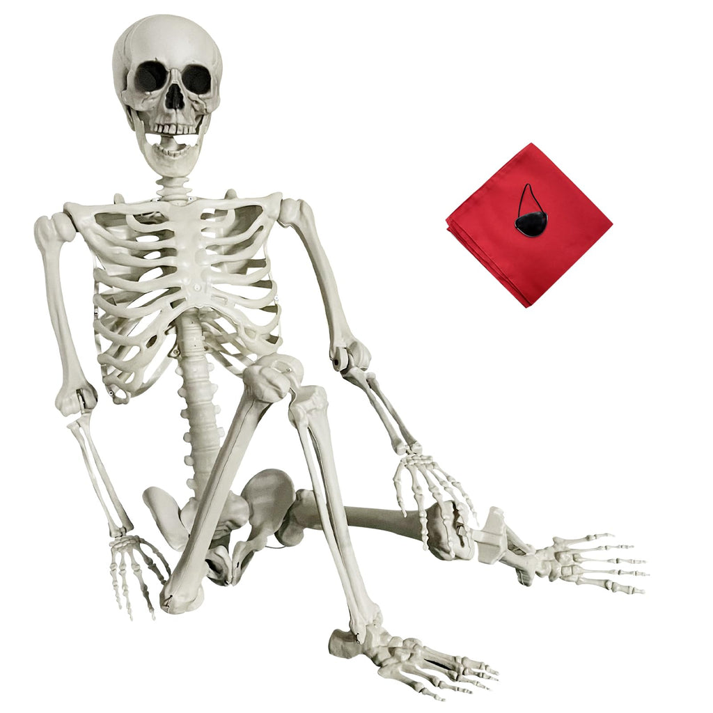 Life Size Skeleton with Posable Joints M513