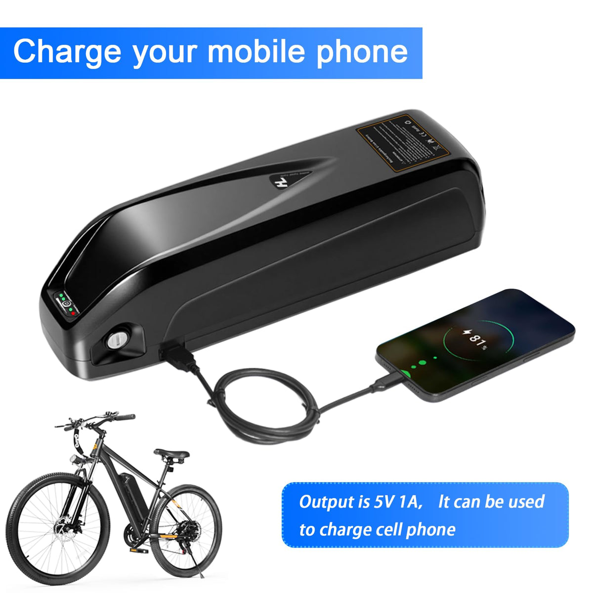 48V 13Ah Lithium Ebike Battery with 30A BMS Q2106