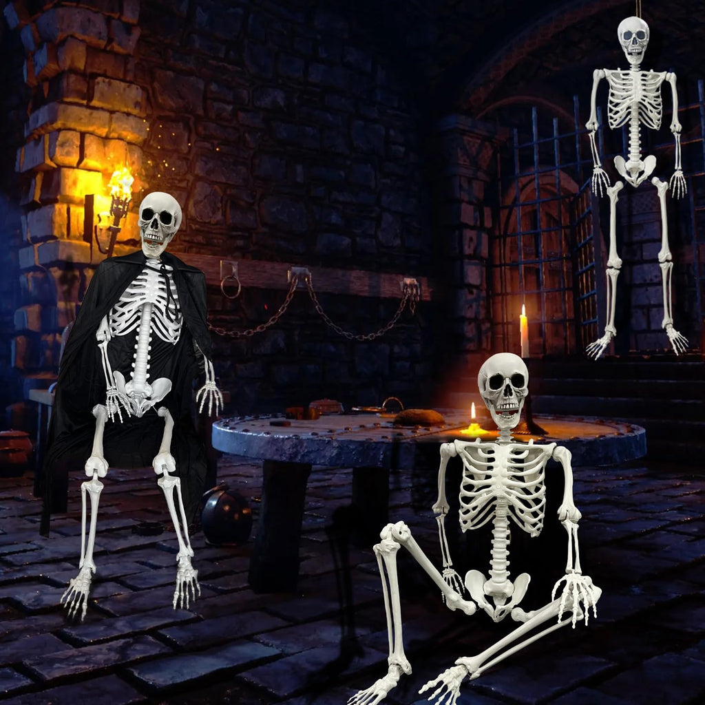 Life Size Skeleton with Posable Joints M513