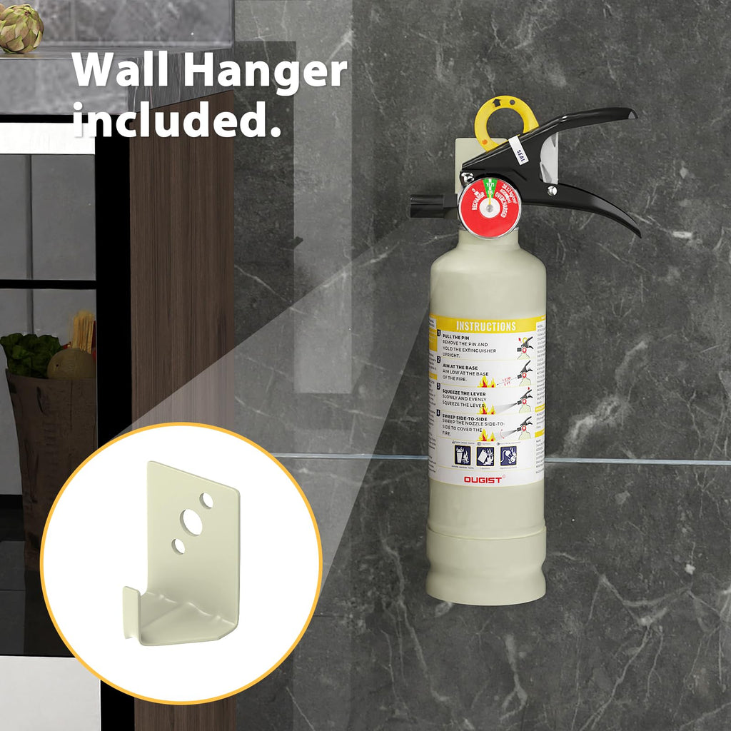 2.5 lb ABC Dry Chemical Fire Extinguisher M431