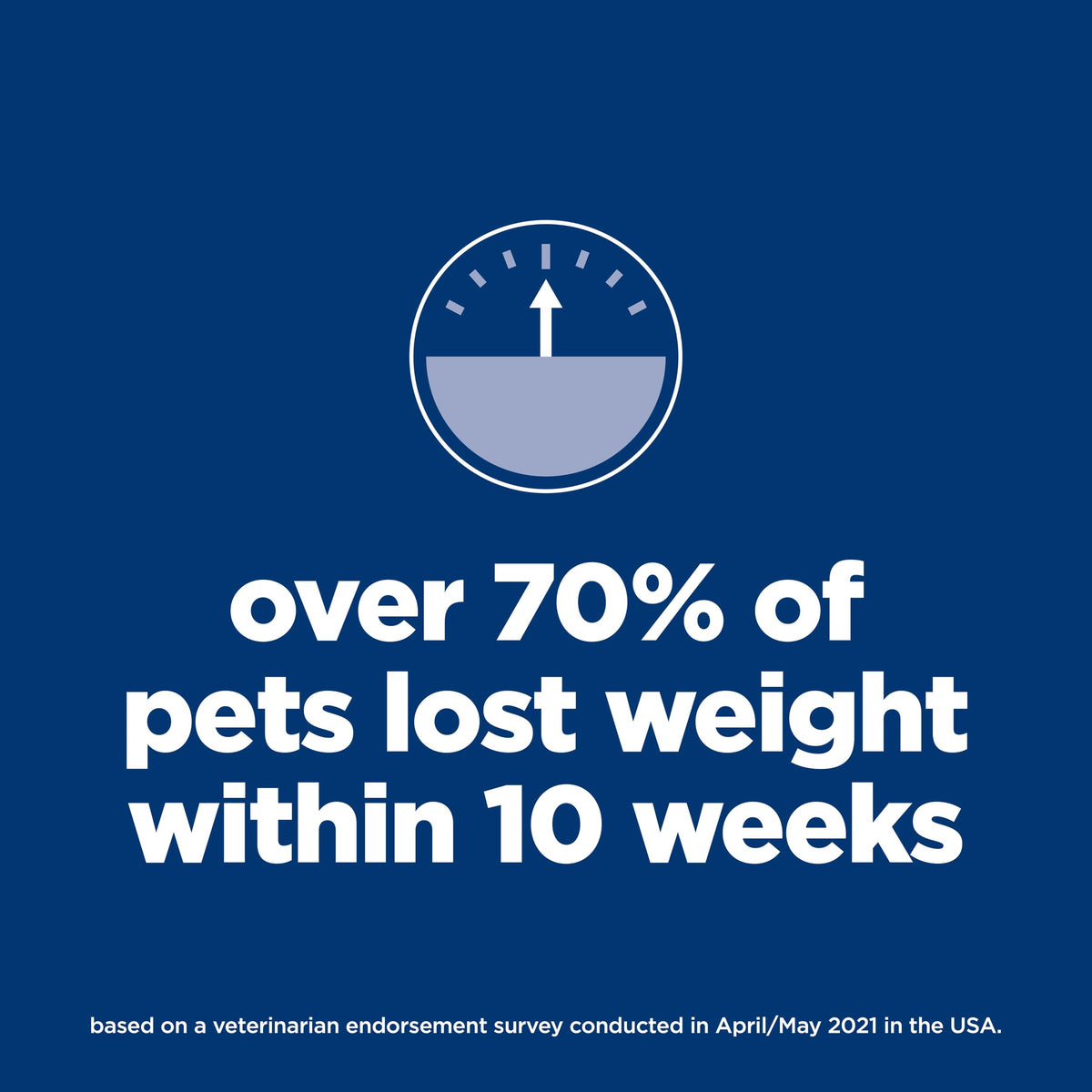 Dry Dog Food Q510693