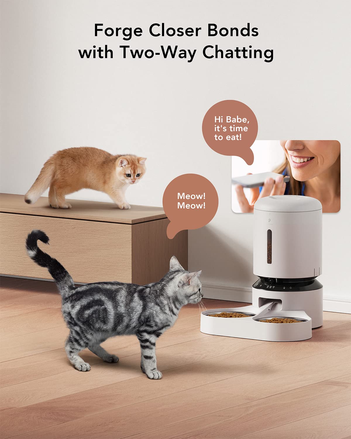 Automatic Cat Feeder with Camera 1080P HD Video 5G WiFi 2-Way Audio A551