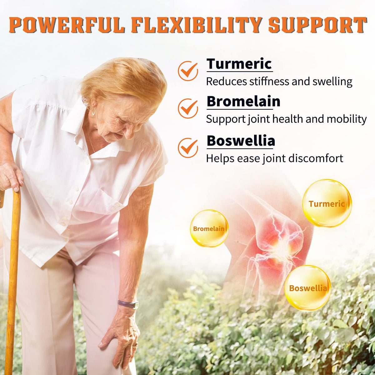 Probiotics with Glucosamine Chondroitin MSM Joint Support Supplement W219563