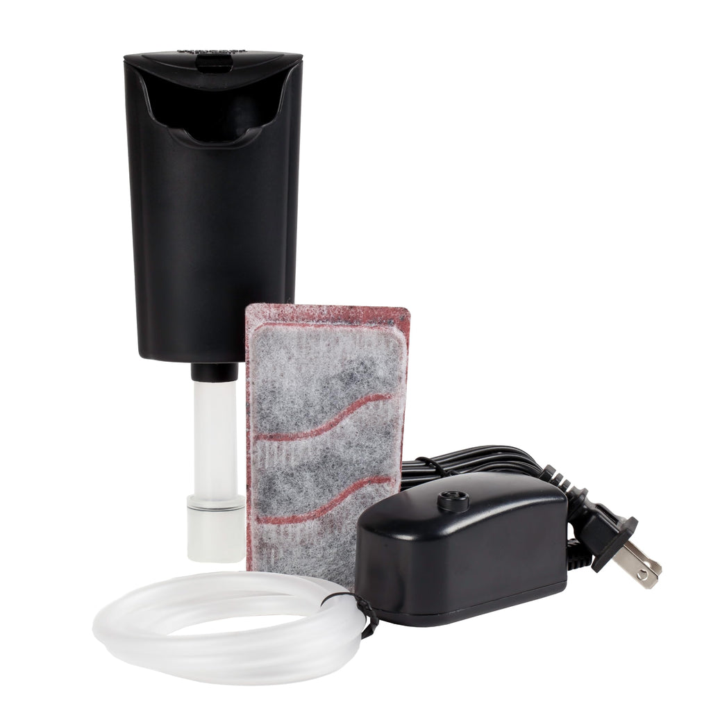 1 Gallon Small Fish Tank Kit W87511