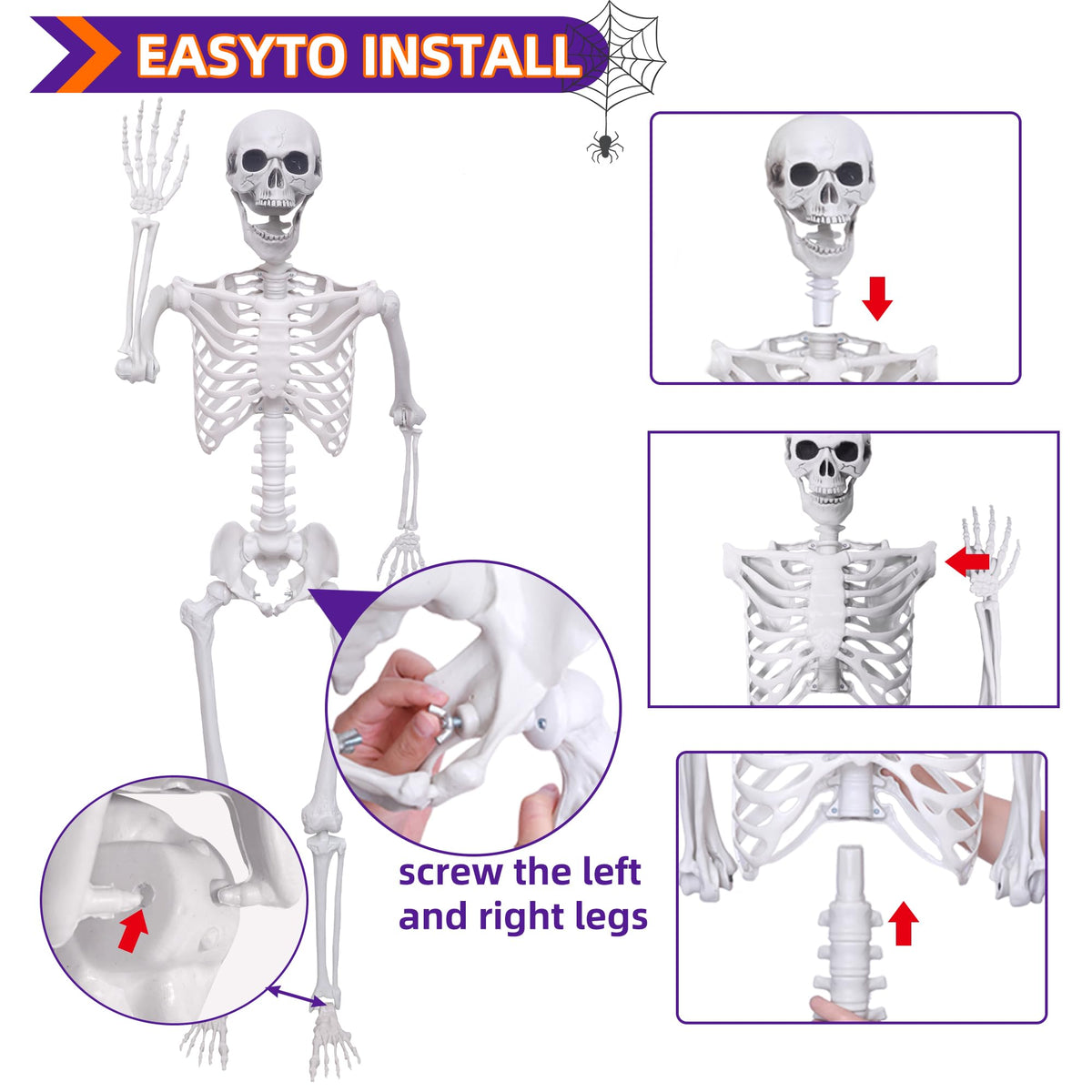 Life Size Skeleton with Posable Joints M513
