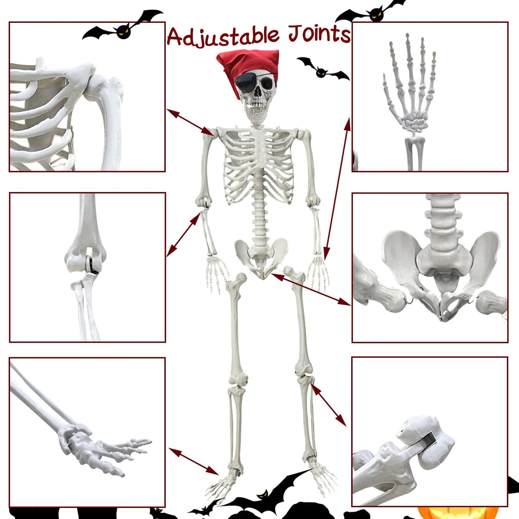 Life Size Skeleton with Posable Joints M513
