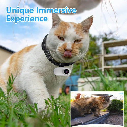 1080P Wireless Mini Pet Camera Collar I324419