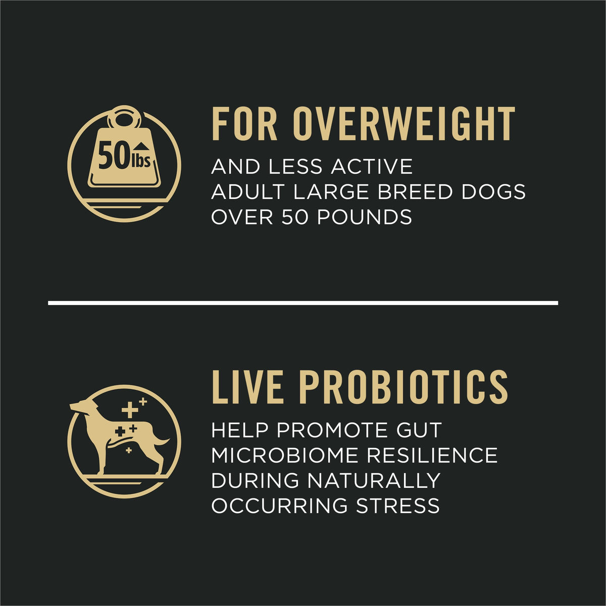 Weight Management Large Breed Dog Food Chicken 34 lb Bag E39468