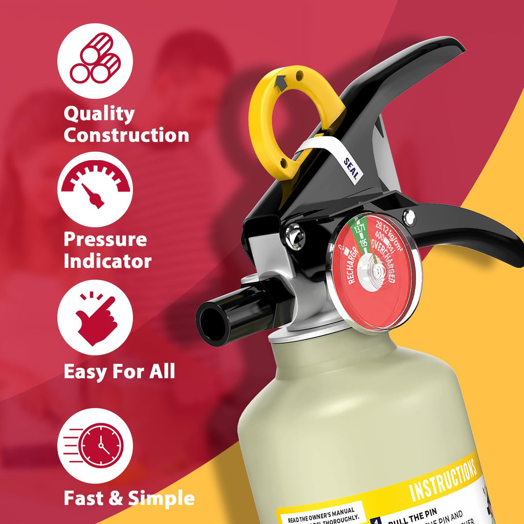 2.5 lb ABC Dry Chemical Fire Extinguisher M431