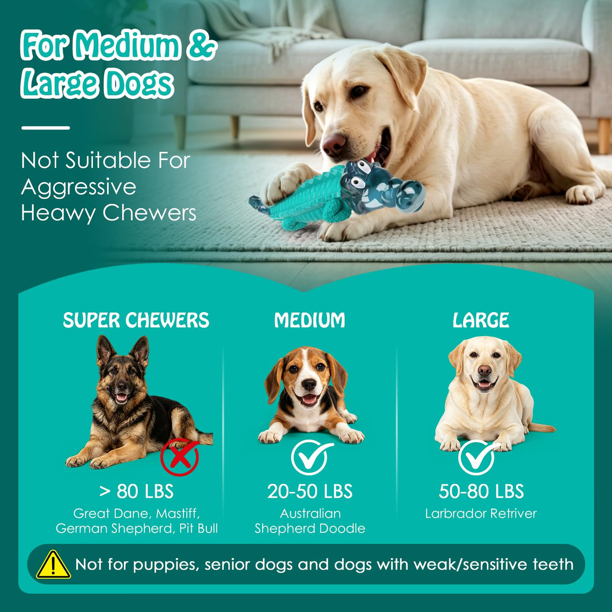 Dog Toys for Aggressive Chewers X412042