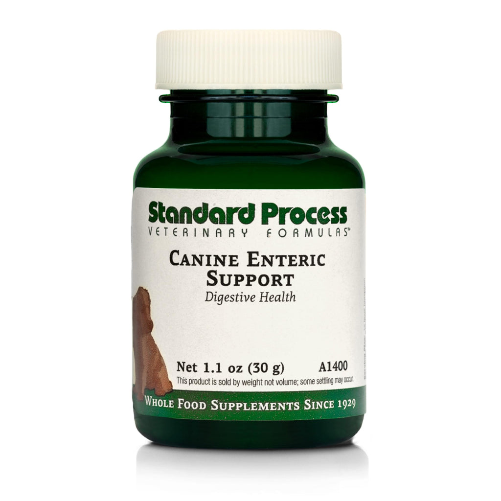 Canine Enteric Support 30 g I5814