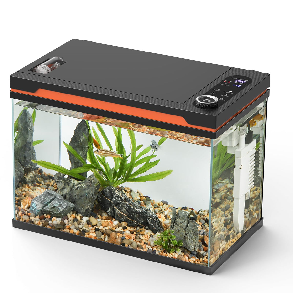 10 Gallon Glass Aquarium Starter Kit with Light Heater Pump Filter M280