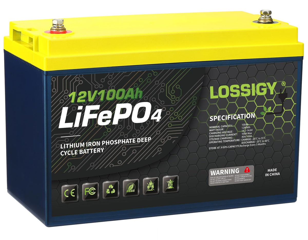 12 Volt 100Ah LiFePO4 Deep Cycle Battery B8130