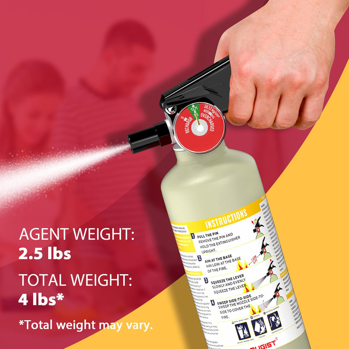 2.5 lb ABC Dry Chemical Fire Extinguisher M431