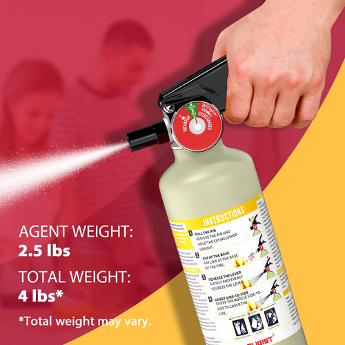 2.5 lb ABC Dry Chemical Fire Extinguisher M431