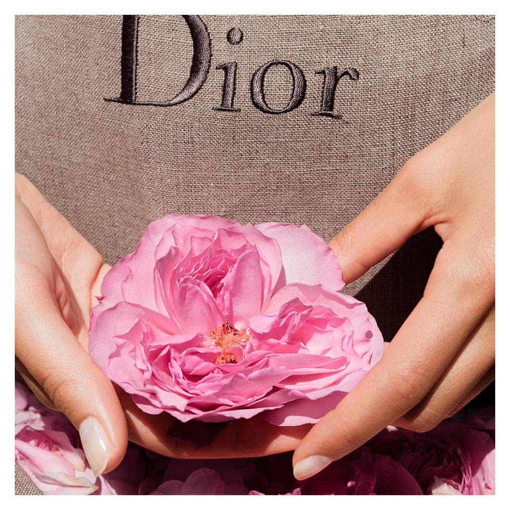 Rose EDT Spray 1.7 oz L23767