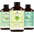 Eucalyptus Tea Tree and Lavender Essential Oil Set 4 Fl. Oz K112645