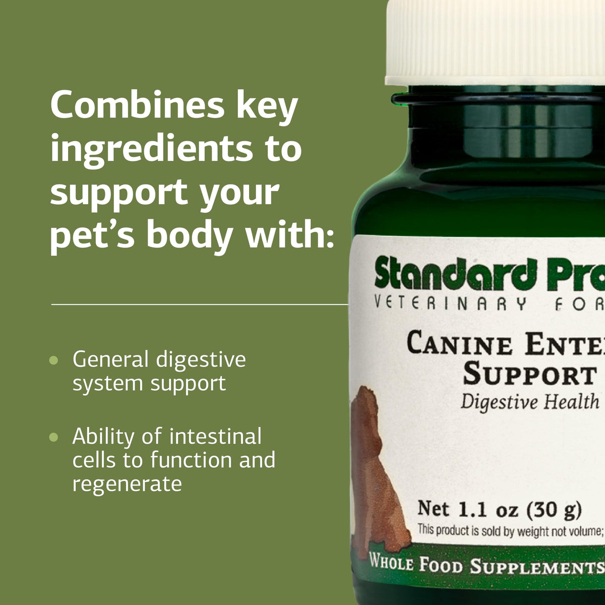 Canine Enteric Support 30 g I5814