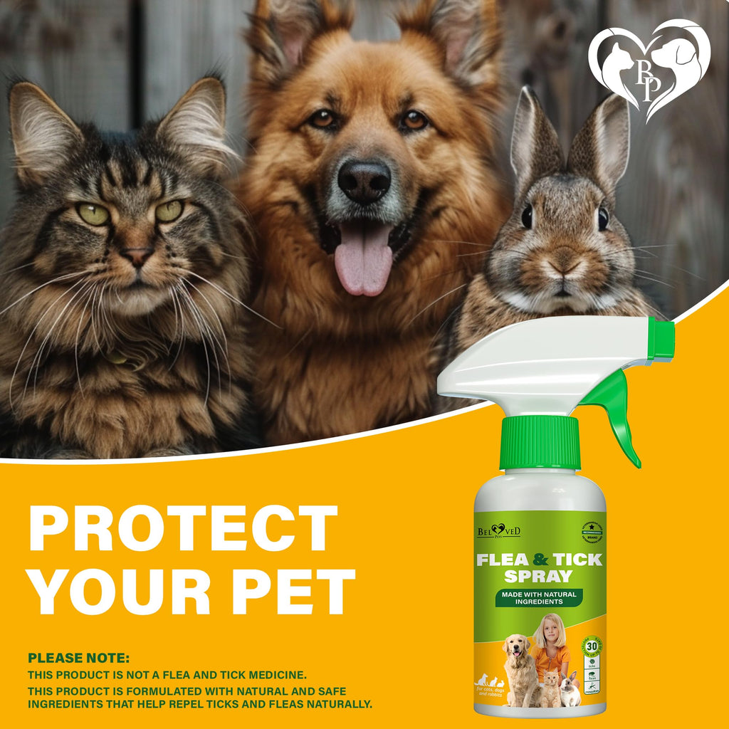 Natural Flea and Tick Home Spray L697902