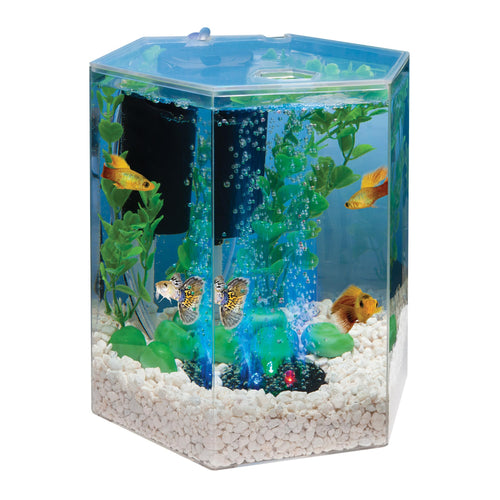 1 Gallon Small Fish Tank Kit W87511