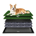 Dog Grass Pad with Tray 30"x20" K685388
