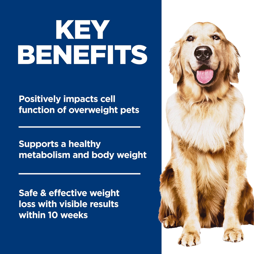 Dry Dog Food Q510693