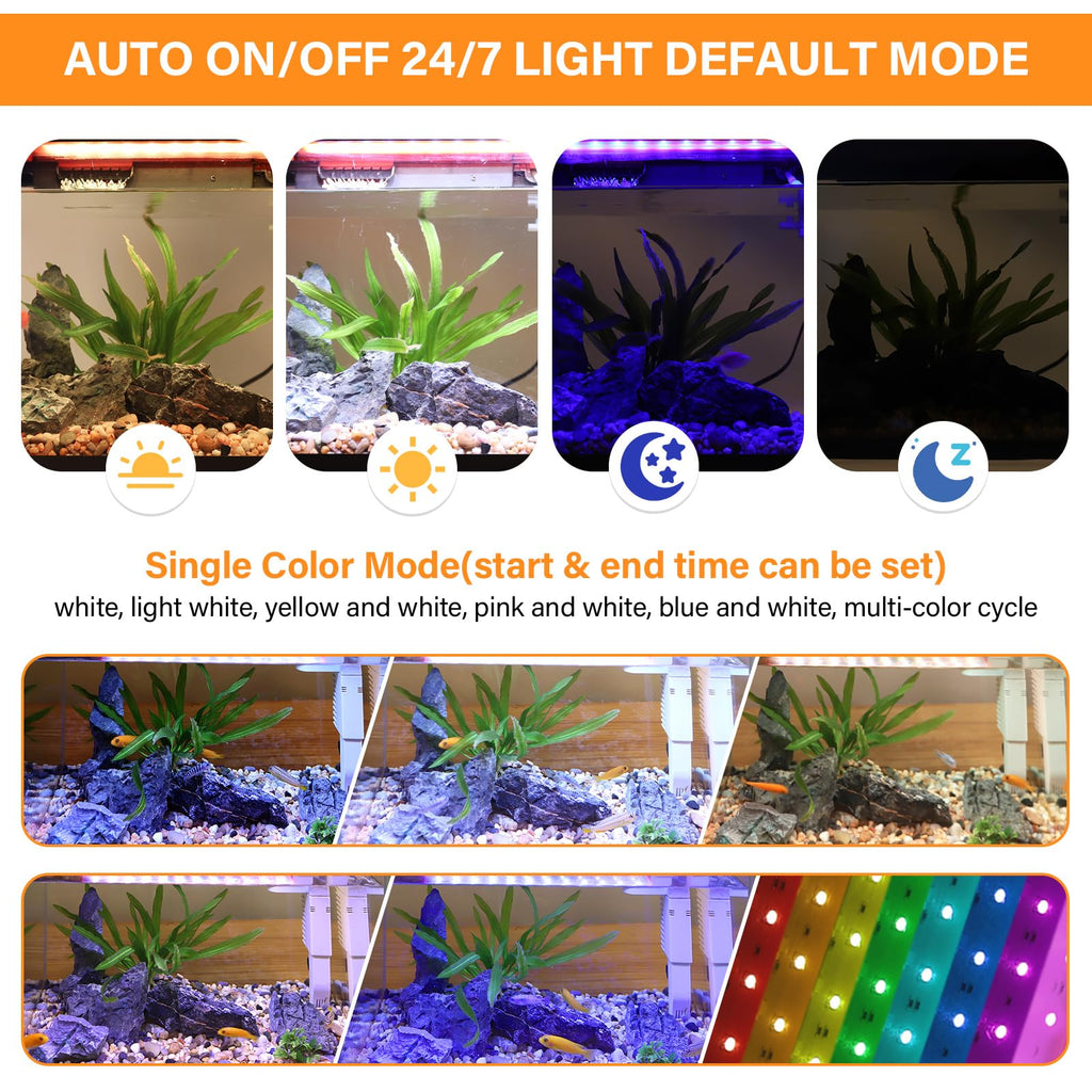 10 Gallon Glass Aquarium Starter Kit with Light Heater Pump Filter M280