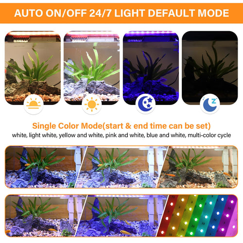 10 Gallon Glass Aquarium Starter Kit with Light Heater Pump Filter M280