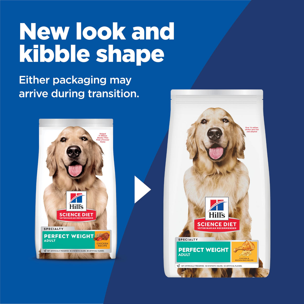 Dry Dog Food Q510693