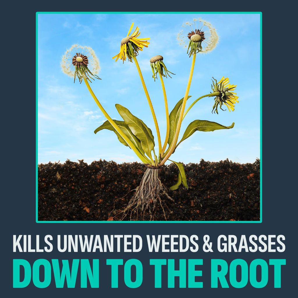 10 Lb Weed & Grass Killer Granules P641