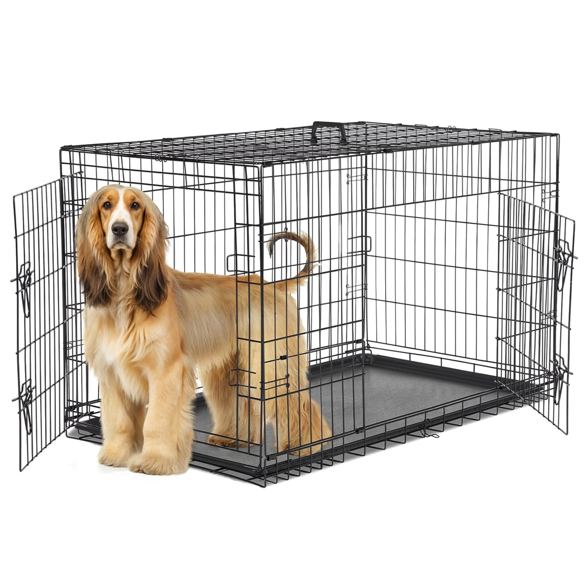 48-Inch Folding Metal Wire Dog Crate with Divider W410564