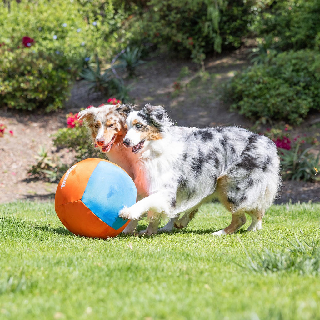 Dog Toy Y3867