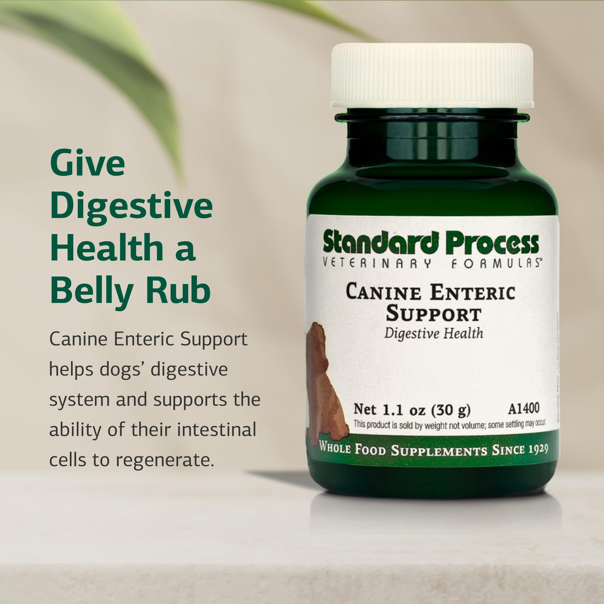 Canine Enteric Support 30 g I5814