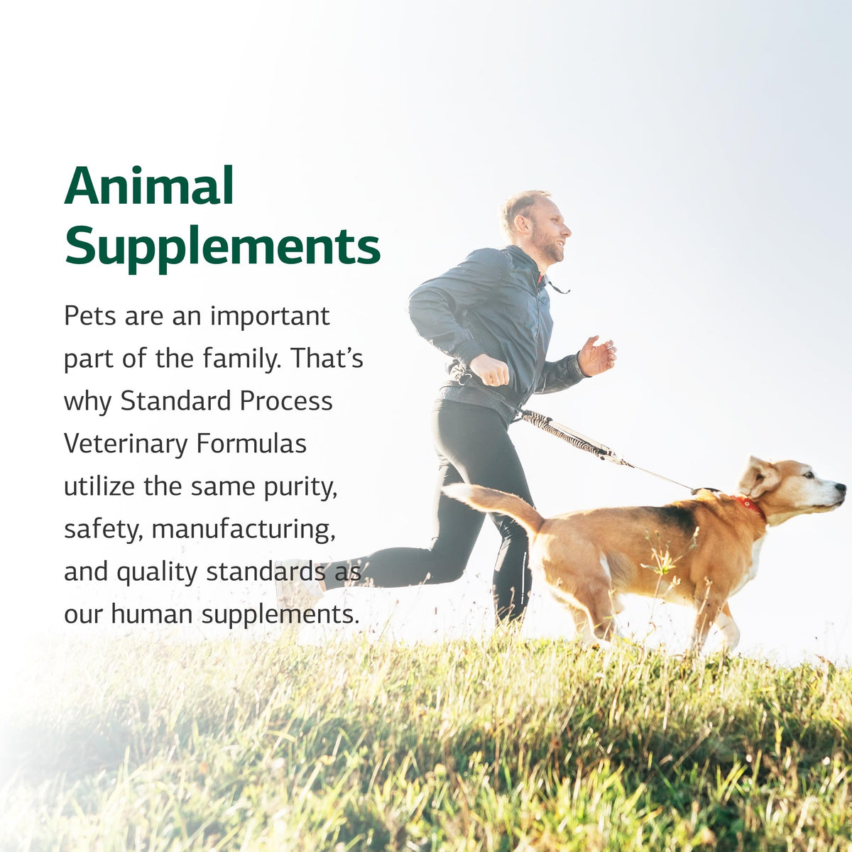 Canine Enteric Support 30 g I5814