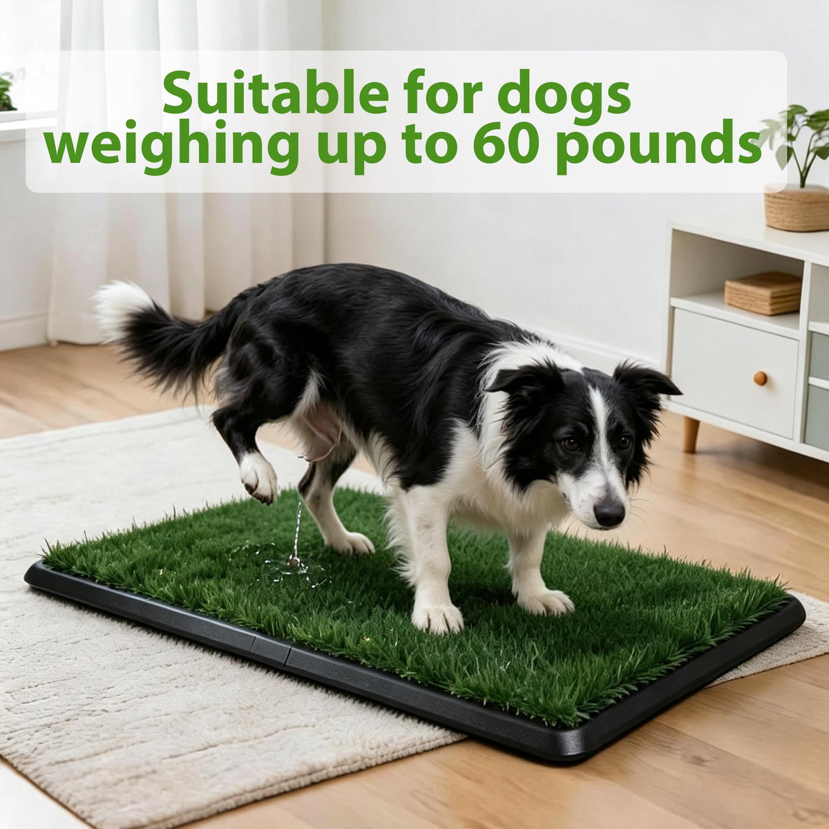 Dog Grass Pad with Tray 30"x20" K685388