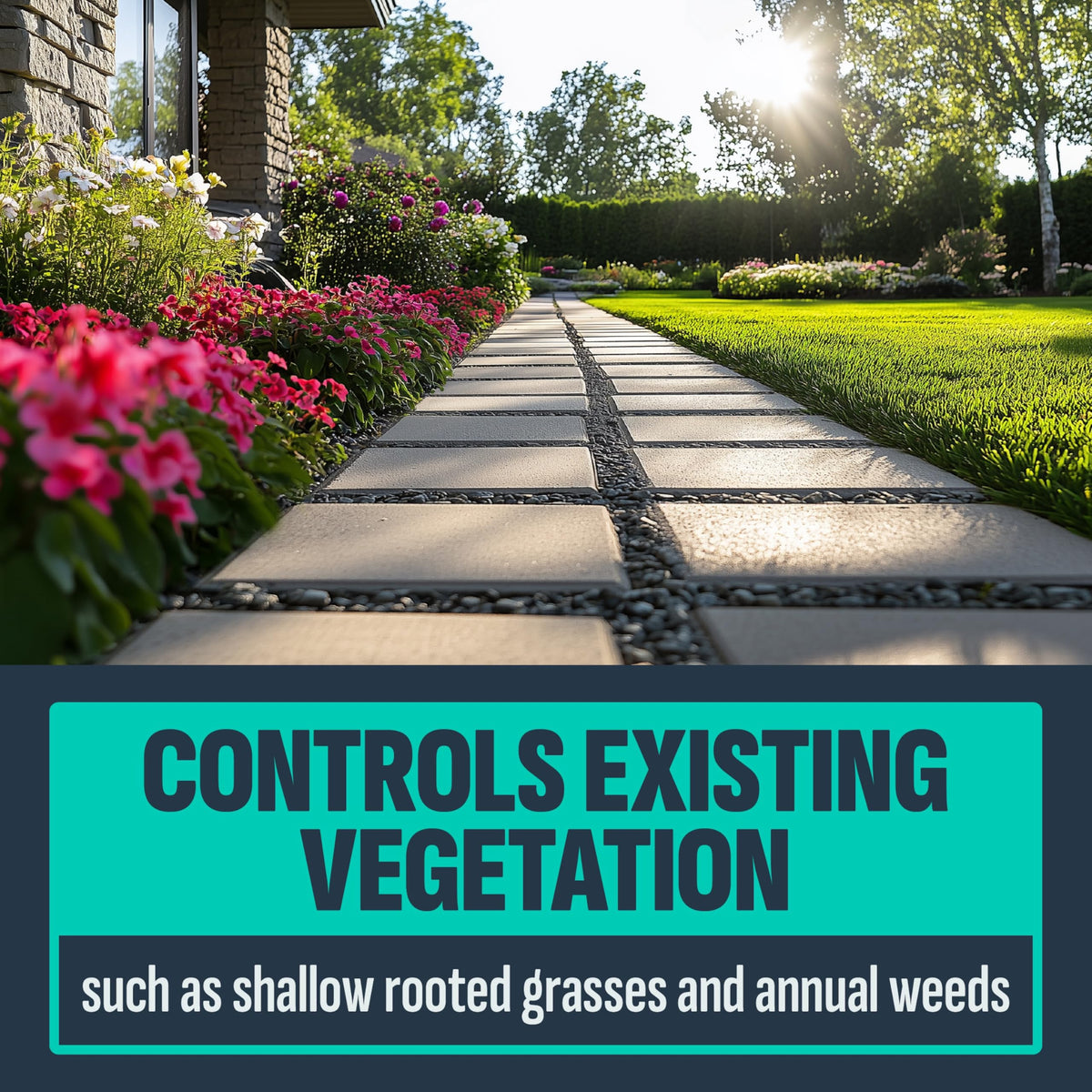 10 Lb Weed & Grass Killer Granules P641