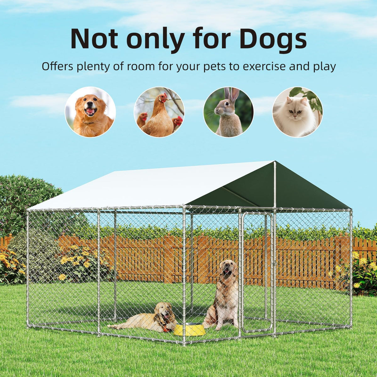 10'x10' Heavy Duty Outdoor Dog Kennel L378