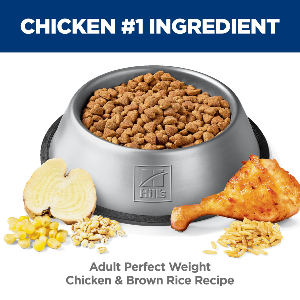 Dry Dog Food Q510693